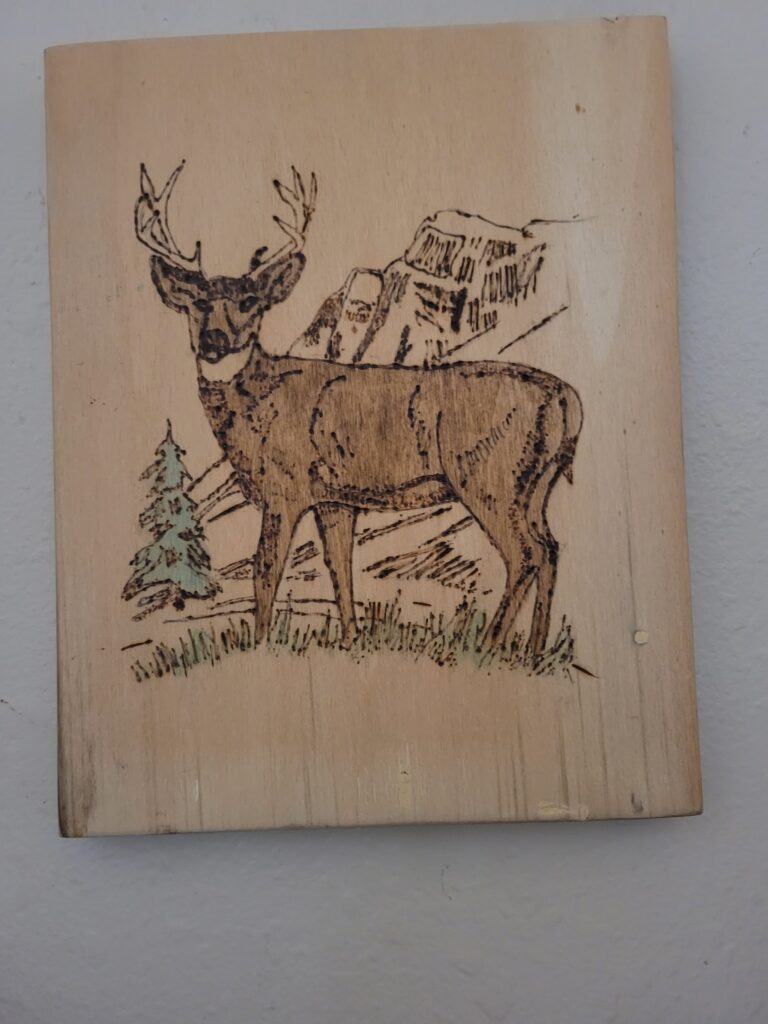 hobbies and habits for success showing buck deer with mountains in the background done with pyrography and paint on wood.